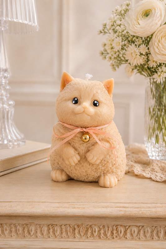 British Shorthair Cat | Pillar